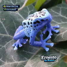 Adopt a Frog & Plant a Tree