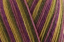 WYS Signature 4 ply Knitting Wool Yarn 100g - Passion Fruit Cooler 811