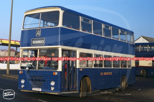 Bus photo a1 service - bus,
