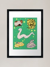 So Many Ball Pythons! Framed