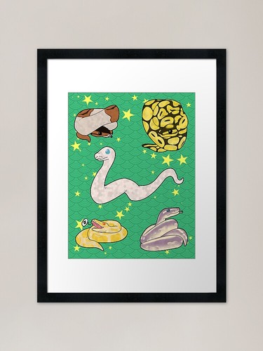 Many ball pythons framed - so,