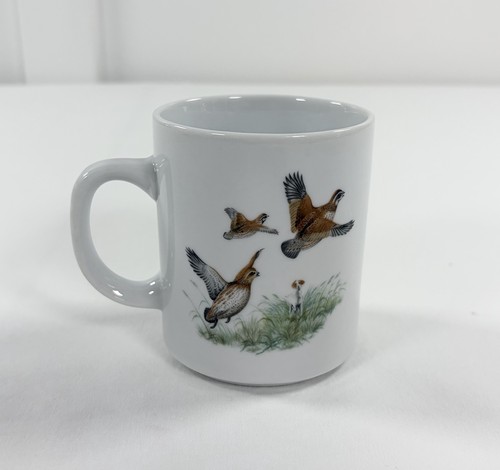 Vintage bobwhite quail hunting - bobwhite,