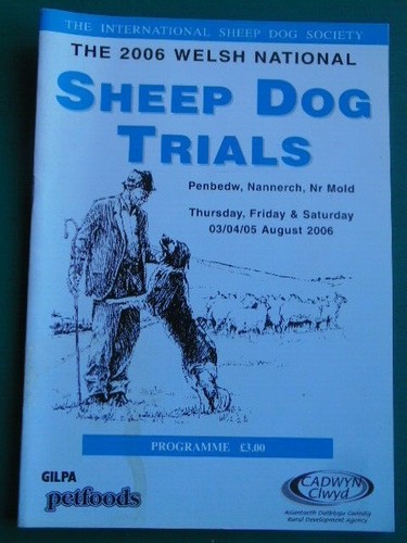 Welsh national sheep dog - welsh,