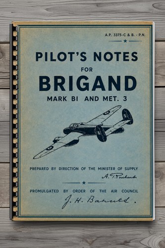 Bristol brigand met pilot - met, 3