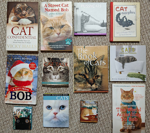 Cat lover - 12,