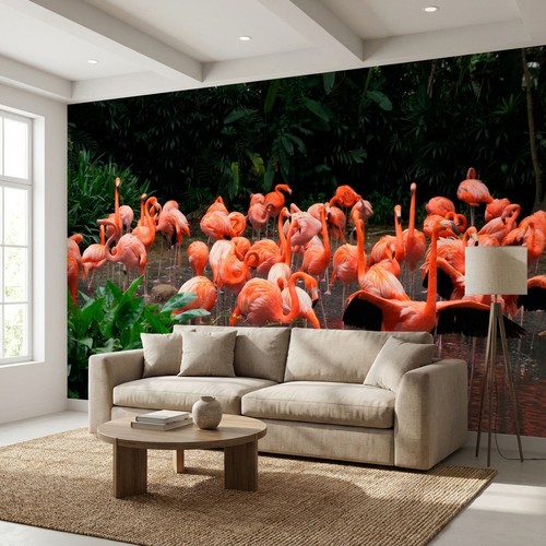 Flamingo photo mural - flamingo,