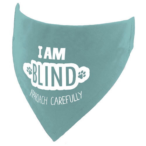 Blind dog handmade - blind,
