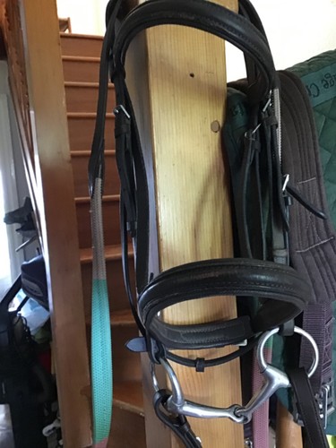 Leather pony bridle with