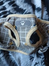 Small grey, white and yellow dog harness