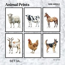 6 x Farm Watercolour Animal