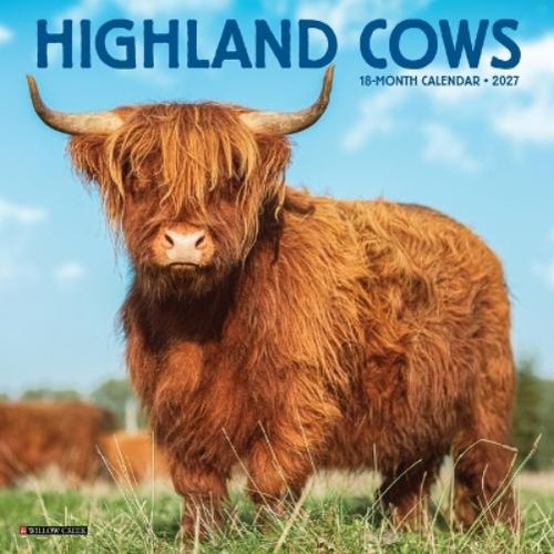Highland cows 2027 mini - highland,