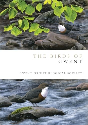 The birds gwent helm - the,