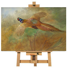 Archibald Thorburn Pheasant in