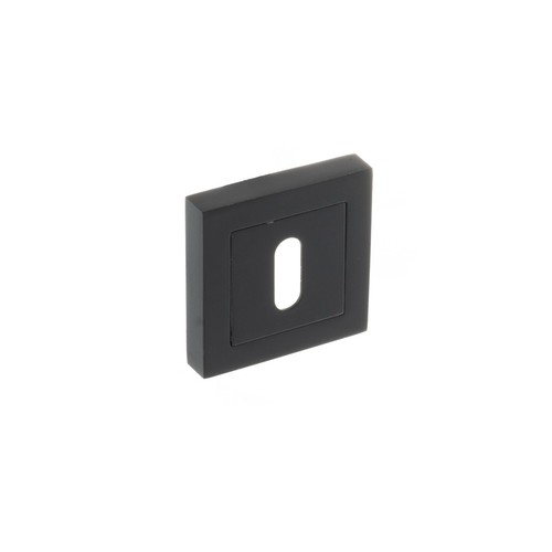 Pair key escutcheons - key,