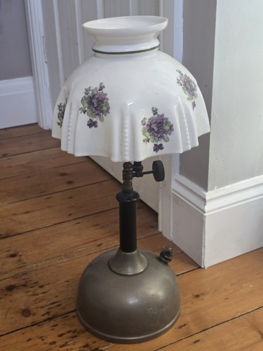 Rare evening star british - evening,