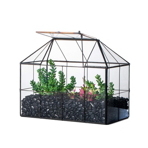 Glass terrarium planter with - terrarium,