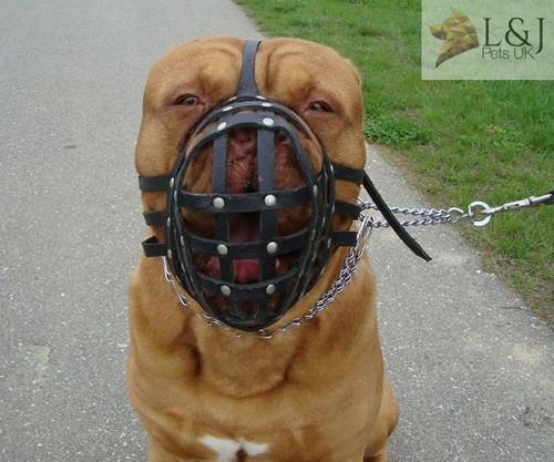 Leather dog muzzle light - leather, |