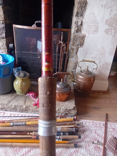 Flectes non frangas split cane - flectes,