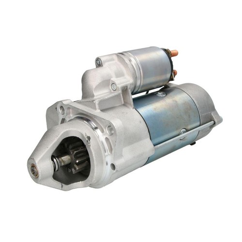 Starter fits man - starter, lion