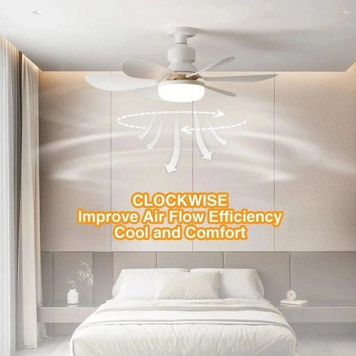 Led ceiling fan light with - light,