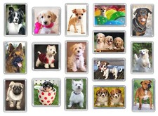 Dog fridge magnets - dog, staffy