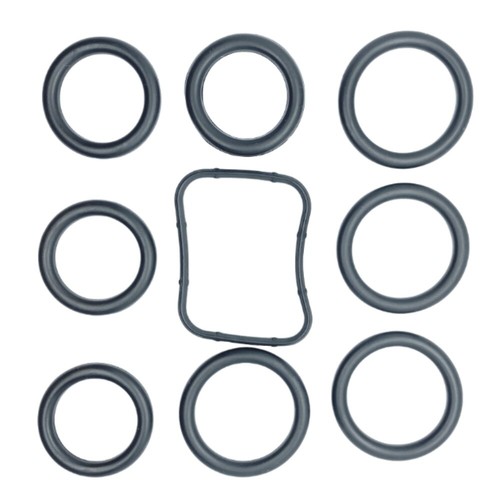 Injector manifold seals ring - injector,