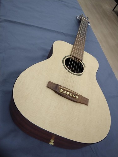 Martin lxm little mini - martin,