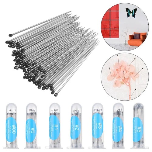 100pcs insect specimen pins - specimen,