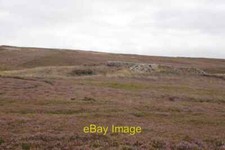 Photo 6x4 Sheep shelter, Hallywell Rig Longformacus  c2020