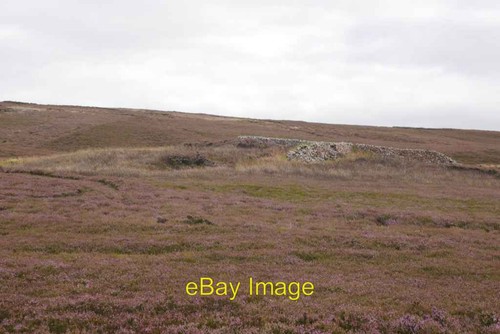 Photo 6x4 sheep shelter - photo,