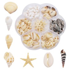 120PCS/Box Mixed Conch Shell Starfish Sea Shells Decor Ornament for Fish Tank