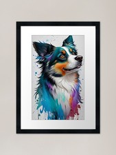 Colorful Australian Shepherd