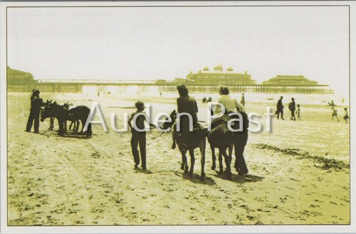 Blackpool beach donkey rides - blackpool,