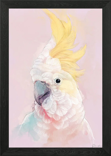 Cockatoo portrait 004 - cockatoo,
