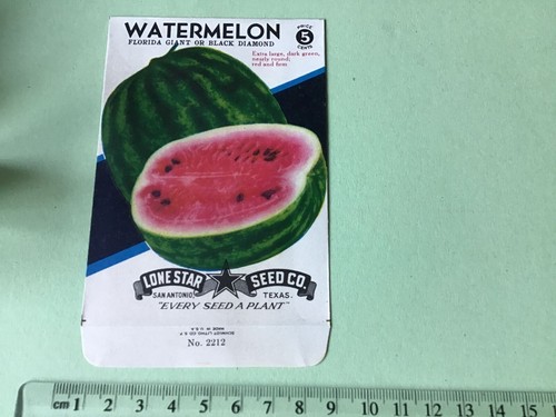 Watermelon florida giant - florida, or