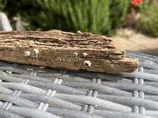 26cm BARNACLE DRIFTWOOD BRANCH Real Sea Sculpture Character base unusual florist