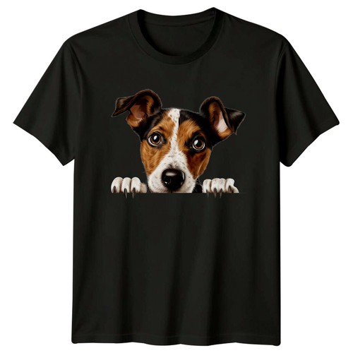 Jack russell dog peek - russell, boo