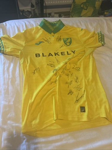 Norwich city home kit - norwich,