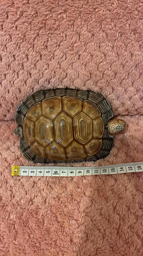 Wade porcelain turtle - turtle, figurine