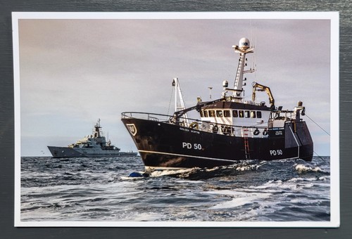 Vintage postcard unused hms - vintage,