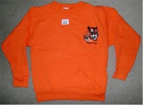 Tiger cub scout - tiger, boy