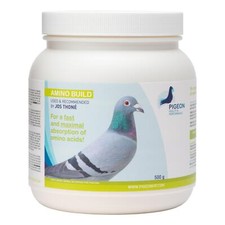 Pigeon Health & Performance