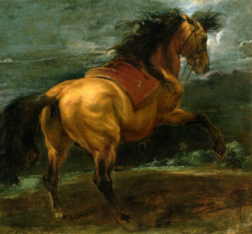 Rearing stallion anthony - a,