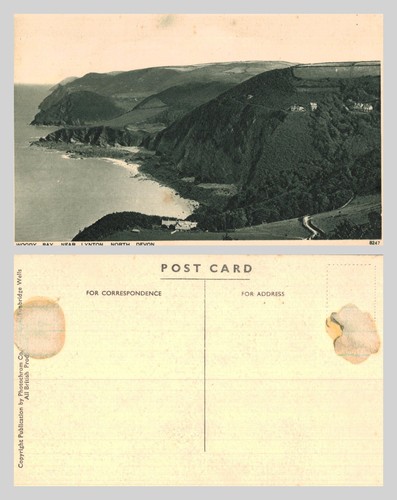 Vintage postcard woody bay - woody,