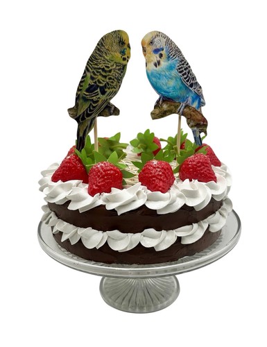 Budgerigar cake toppers - budgerigar,