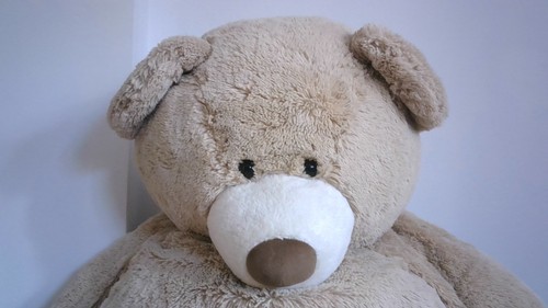 Xxl teddy bear - teddy,