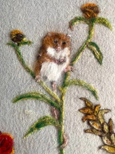 Harvest mouse picture - picture, /