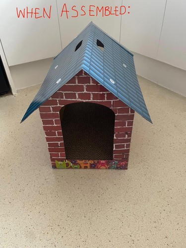 Cardboard cat scratcher house - cat,