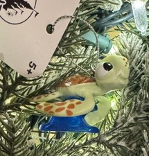 2025 Squirt the Turtle Finding