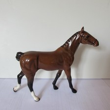 Beswick Bay Gloss Walking